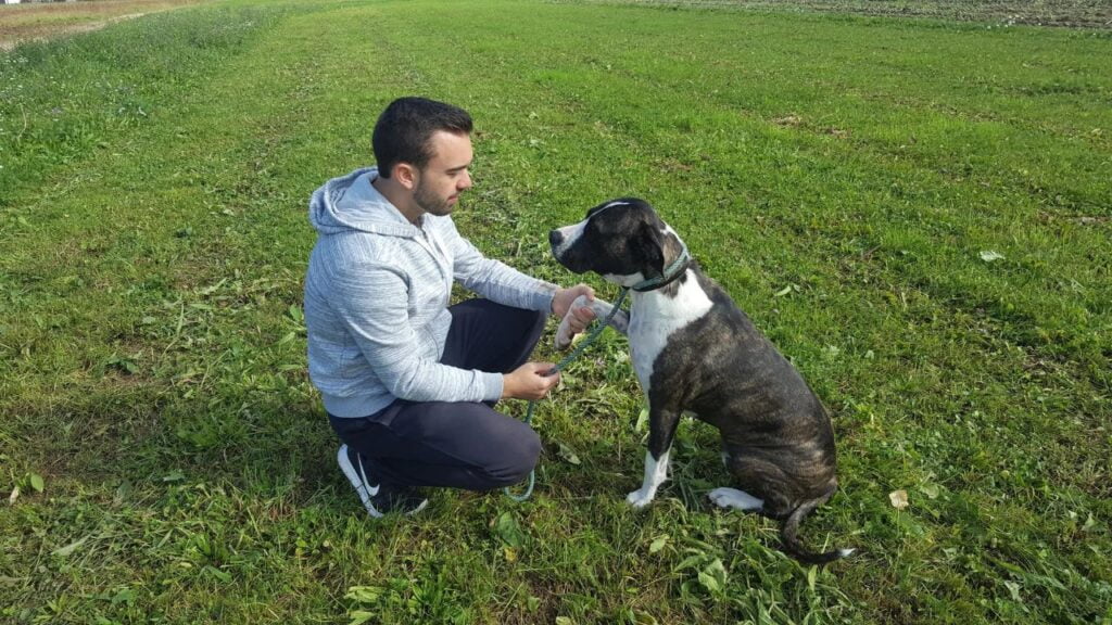 Bioterapija za živali