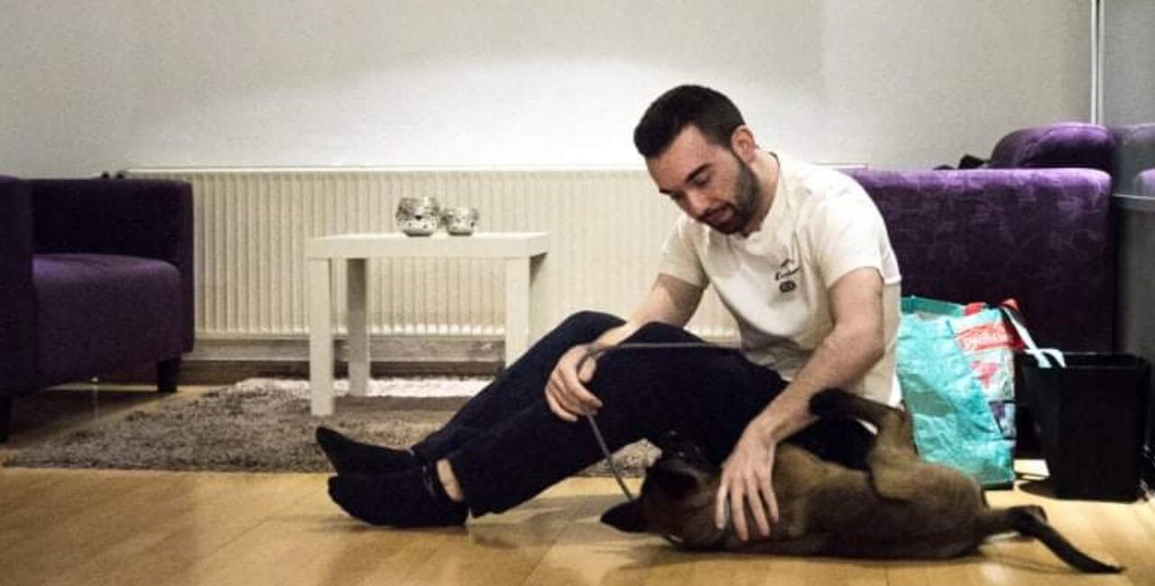 Bioterapija za živali (energijsko zdravljenje)