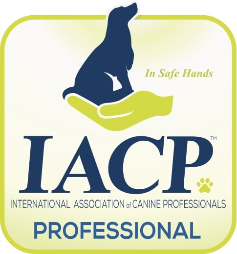 IACP