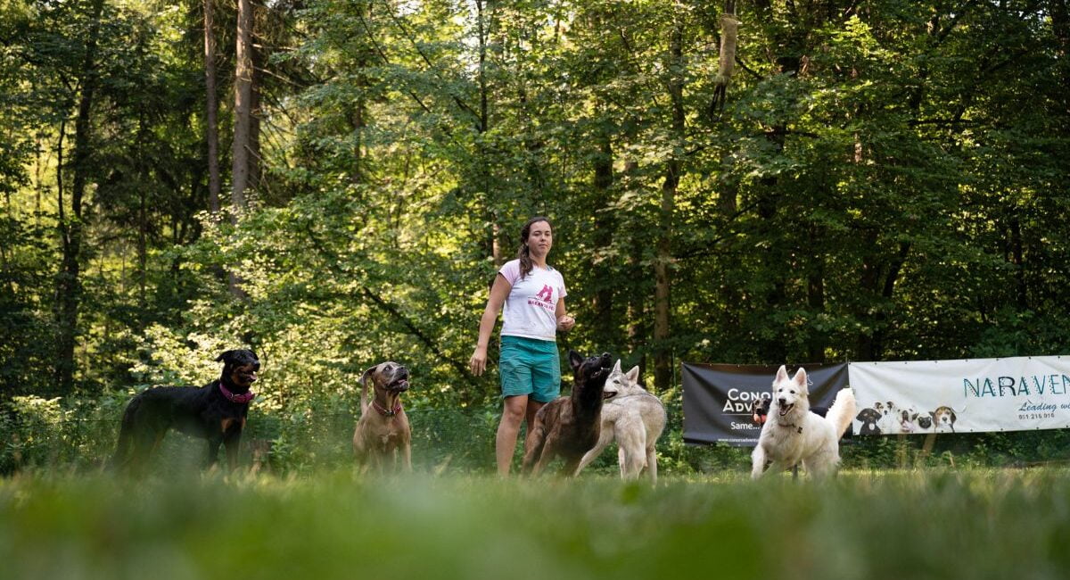 O Tjaši Kovač in pasji šoli Naraven pes, v medijih