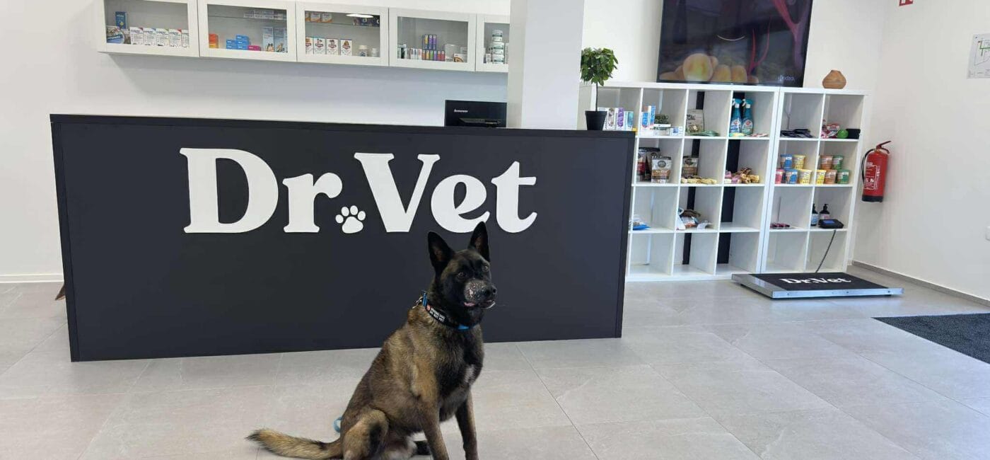 INDIVIDUALNI POSVETI NA VETERINI DR.VET, V GROSUPLJU
